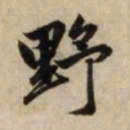 赵孟頫野书法图片