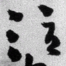 王铎泣书法图片