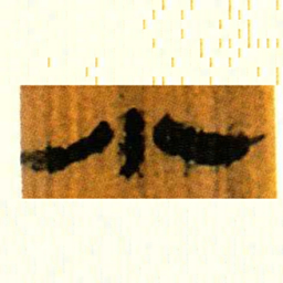 北大汉简小书法图片