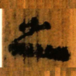 北大汉简之书法图片