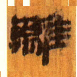 北大汉简离书法图片
