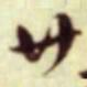 蔡襄廿书法图片