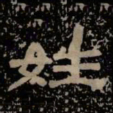 姓书法图片