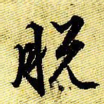 文征明脱书法图片