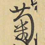 王铎菊书法图片