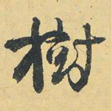 王铎树书法图片