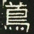 茑书法图片