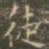 褚遂良徒书法图片