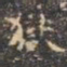 褚遂良狱书法图片