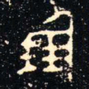 金文倗书法图片