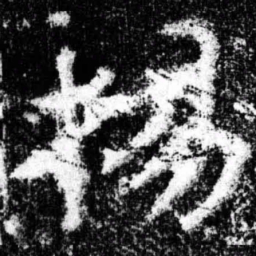 杨书法图片