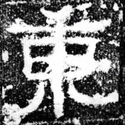 东书法图片