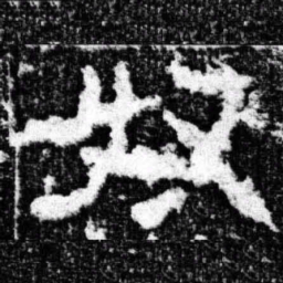 奴书法图片