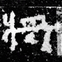 将书法图片