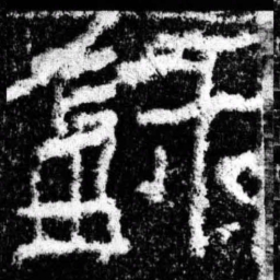 录书法图片