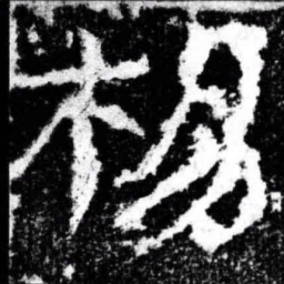楊书法图片