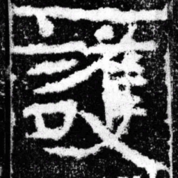 护书法图片