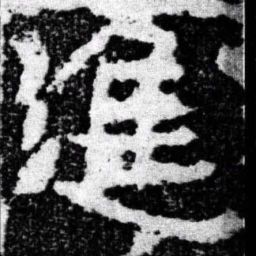 进书法图片
