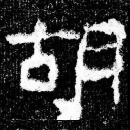 胡书法图片