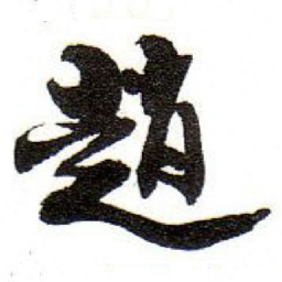 孙文擢趙书法图片