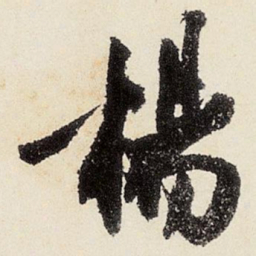沈周杨书法图片