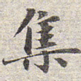 赵孟頫集书法图片