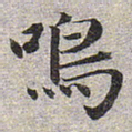 赵孟頫鸣书法图片