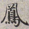 赵孟頫凤书法图片