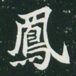 魏碑凤书法图片