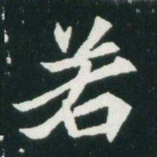 魏碑若书法图片
