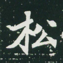 魏碑松书法图片