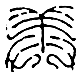 鸟虫篆美书法图片