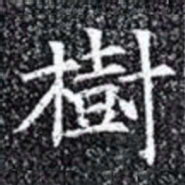 樹书法图片