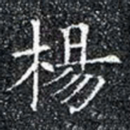 楊书法图片