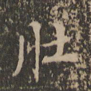 肚书法图片
