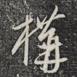 康里巎巎构书法图片