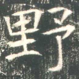 魏碑野书法图片