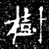 樹书法图片