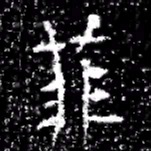 菲书法图片