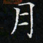 卓祖毅月书法图片