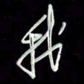 张毅君我书法图片