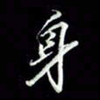 张毅君身书法图片
