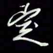 张毅君定书法图片