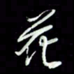 张毅君花书法图片