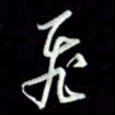 张毅君飞书法图片