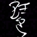 赵玉芬琶书法图片