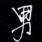 赵玉芬男书法图片