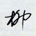 杨正言柳书法图片
