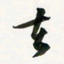 余冰倩去书法图片