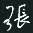 孙兵张书法图片